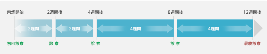 診察スケジュール