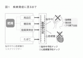 疾病発症に至るまで（クリックで拡大）