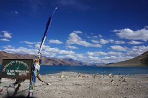 pangong